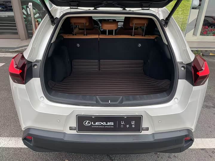 Фото 6 - Lexus UX Hybrid