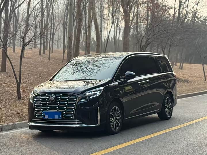 Фото 1 - Buick GL8 ES