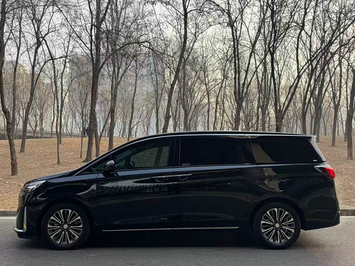 Фото 3 - Buick GL8 ES