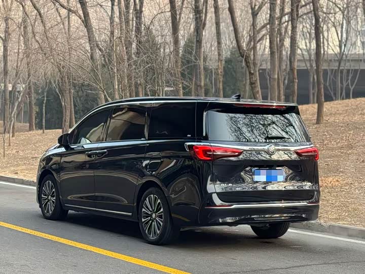 Фото 4 - Buick GL8 ES