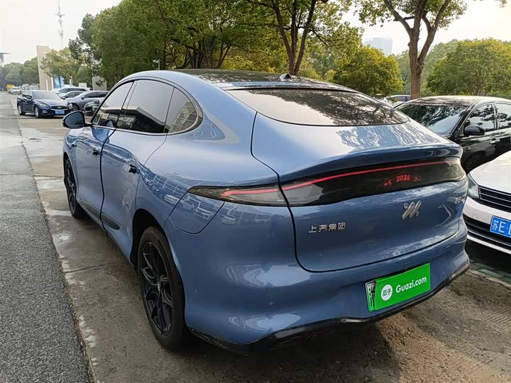 Фото 5 - IM motors LS6