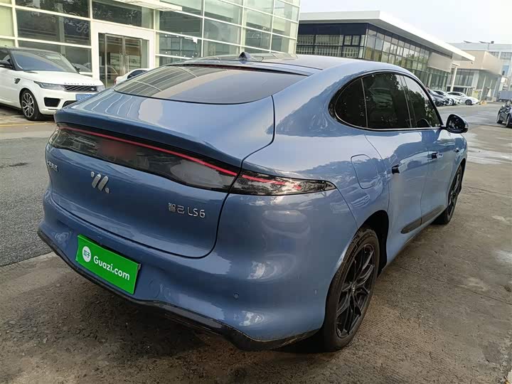 Фото 7 - IM motors LS6