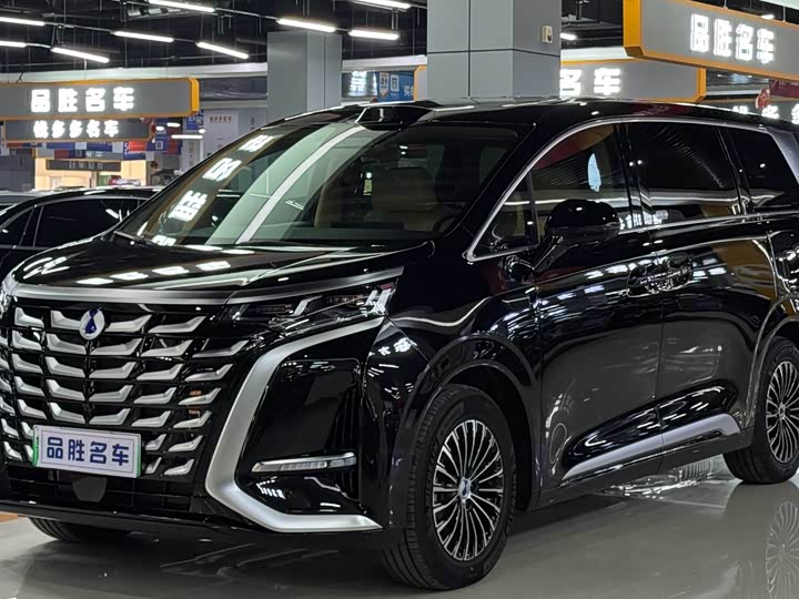 Фото 1 - Denza D9