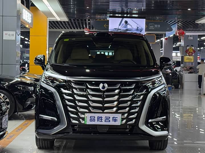 Фото 2 - Denza D9