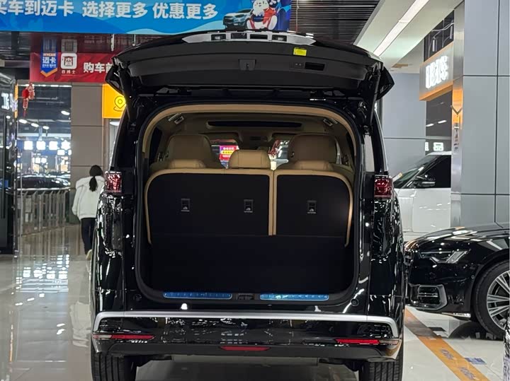 Фото 6 - Denza D9