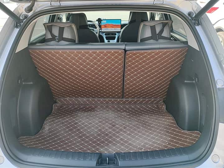 Фото 4 - Geely Galaxy Geome