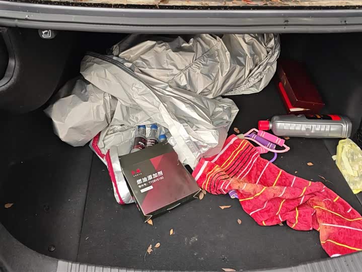 Фото 4 - Hongqi H5