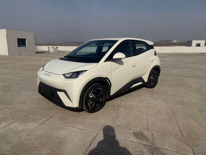 Фото 1 - BYD Seagull