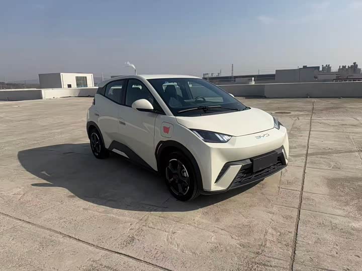 Фото 3 - BYD Seagull