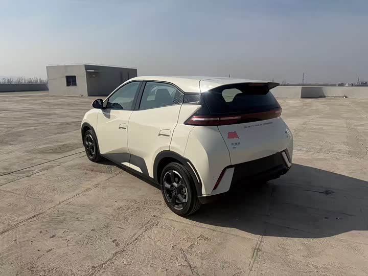 Фото 9 - BYD Seagull