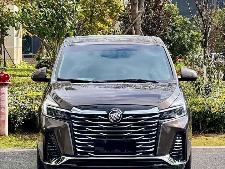 Фото 2 - Buick GL8 ES