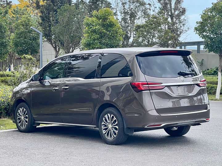 Фото 4 - Buick GL8 ES