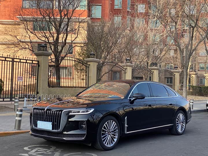 Фото 1 - Hongqi H9