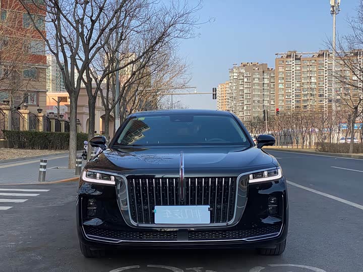 Фото 2 - Hongqi H9