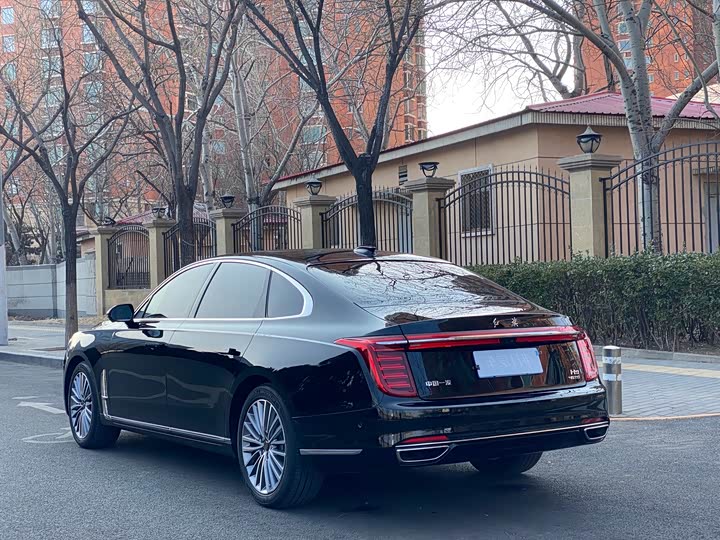 Фото 3 - Hongqi H9