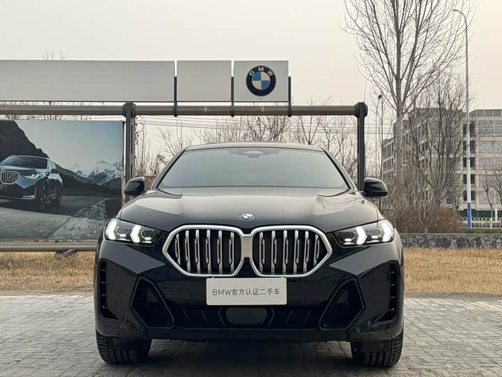 Фото 6 - BMW X6