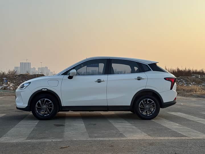 Фото 4 - Hozon V