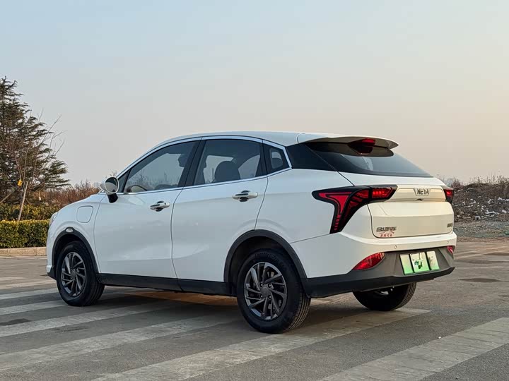 Фото 5 - Hozon V