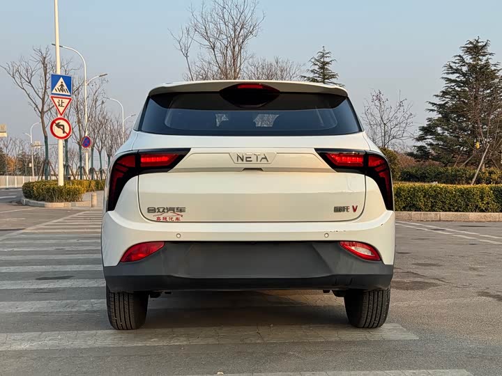 Фото 6 - Hozon V