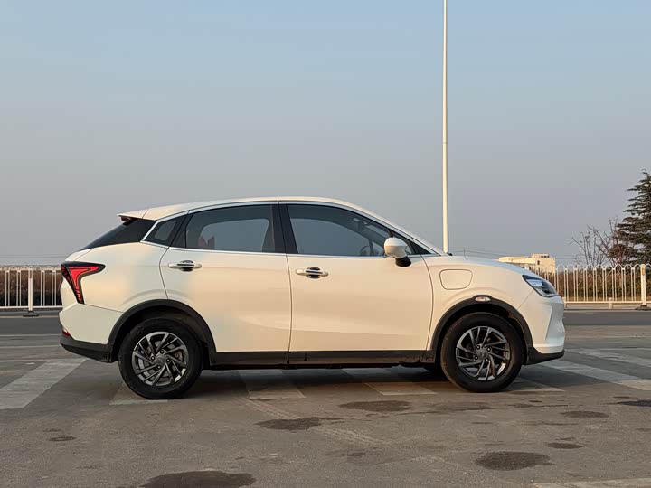 Фото 8 - Hozon V