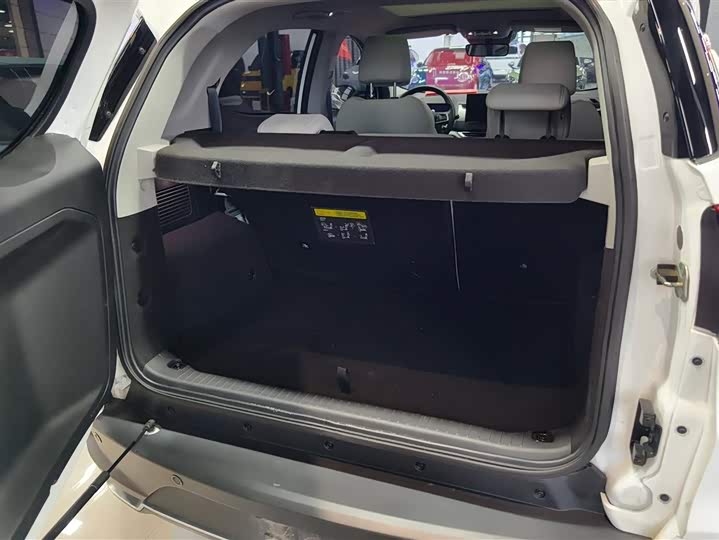 Фото 4 - BYD Yuan Pro