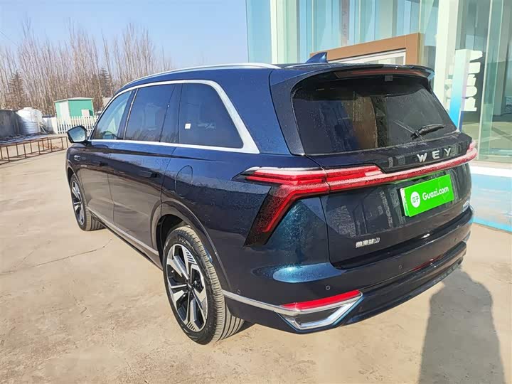 Фото 5 - Wey Lanshan