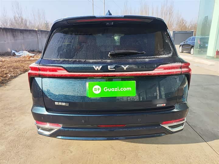 Фото 6 - Wey Lanshan