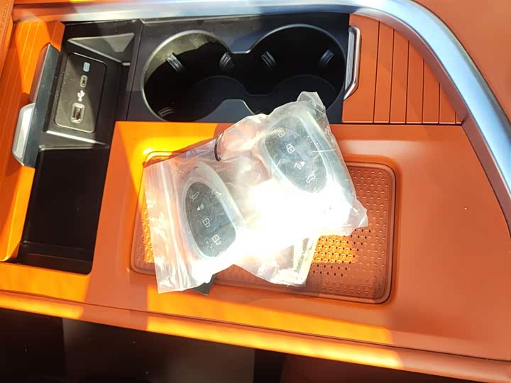 Фото 9 - Wey Lanshan