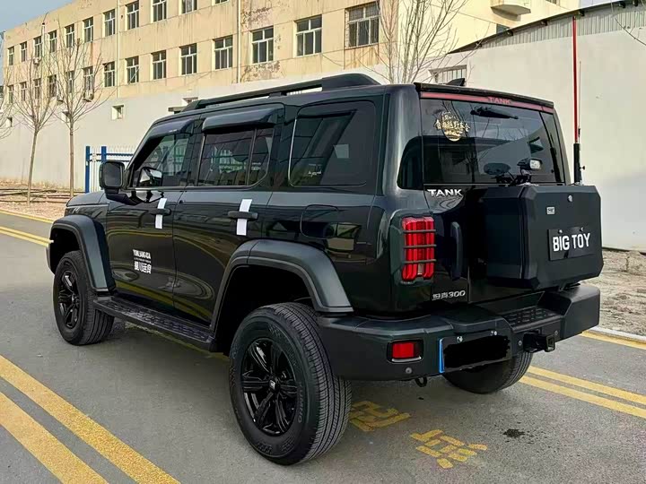 Фото 4 - Tank 300