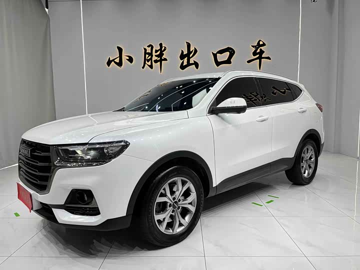 Фото 1 - Haval H6
