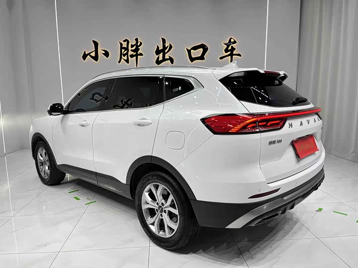 Фото 5 - Haval H6