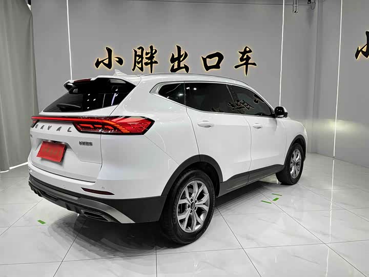 Фото 6 - Haval H6