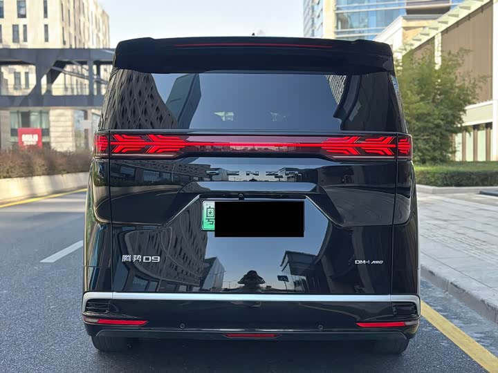 Фото 3 - Denza D9