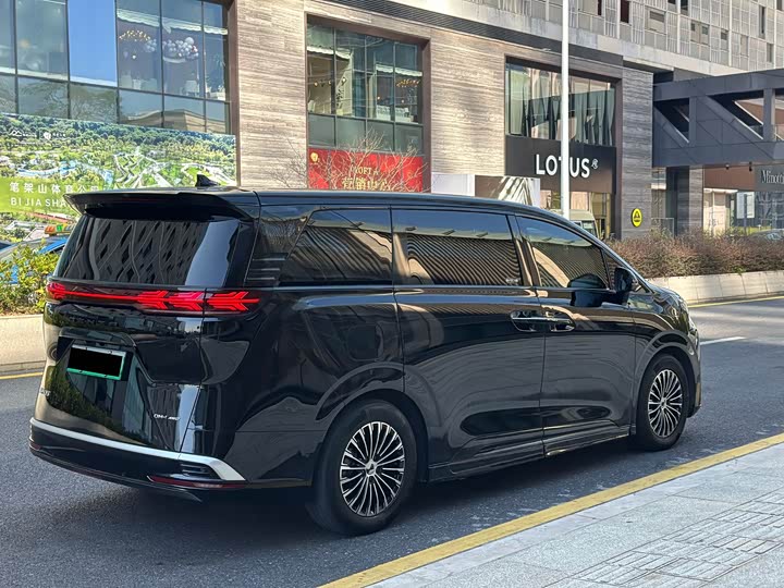 Фото 4 - Denza D9