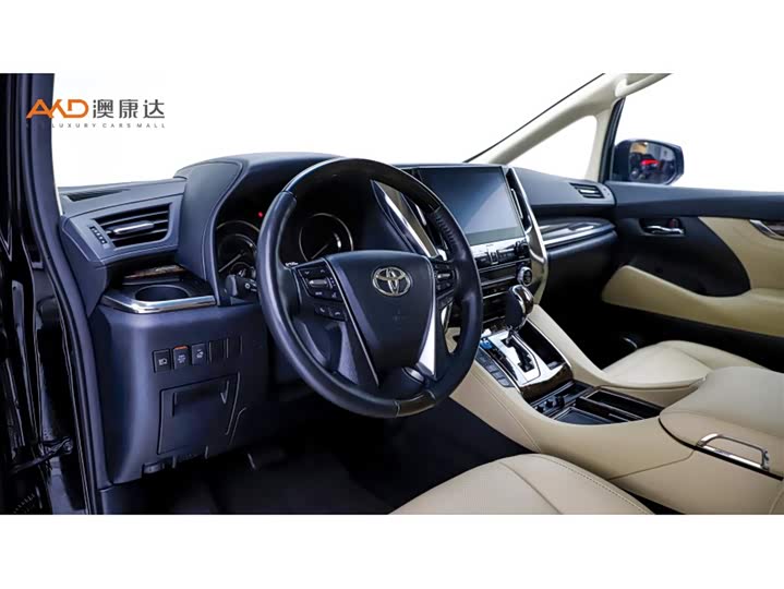 Фото 6 - Toyota Alphard