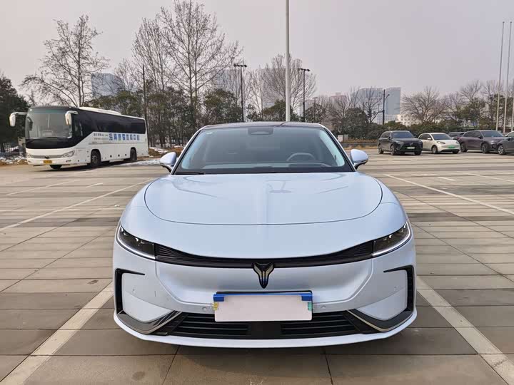 Фото 2 - Voyah Passion