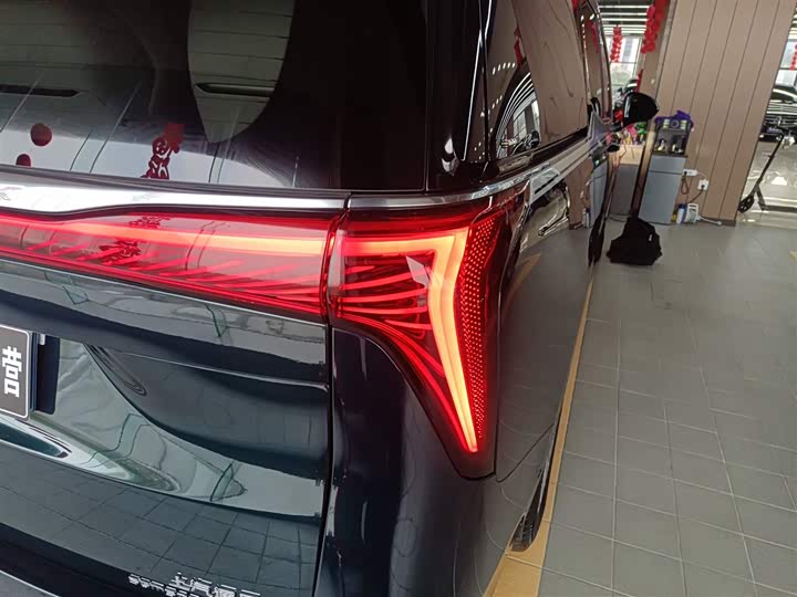 Фото 8 - Buick GL8 Century