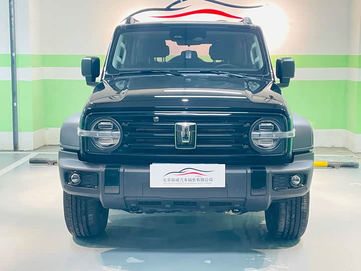 Фото 2 - Tank 300