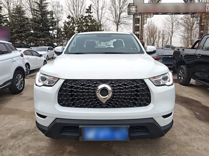 Фото 3 - Great Wall Pao