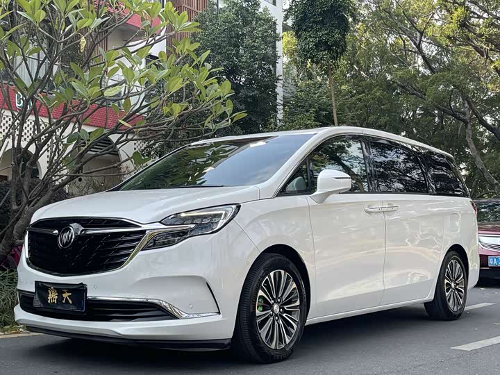 Фото 1 - Buick GL8 ES