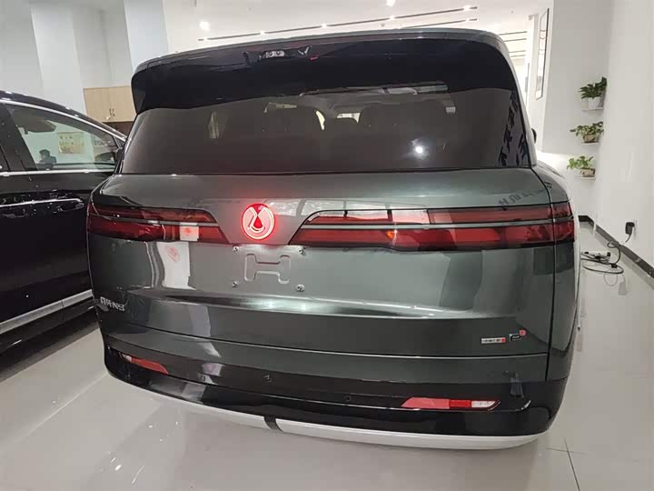 Фото 6 - Denza N9