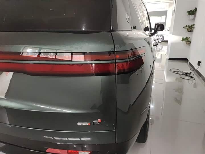 Фото 8 - Denza N9