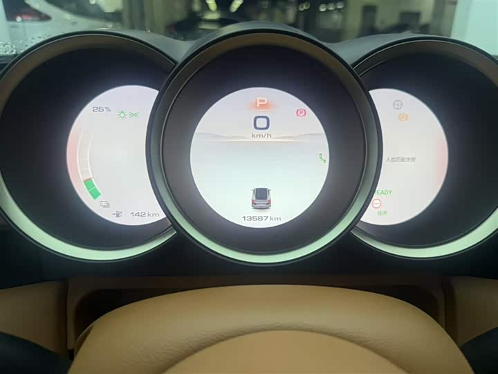 Фото 5 - Ora Lightning Cat (07)