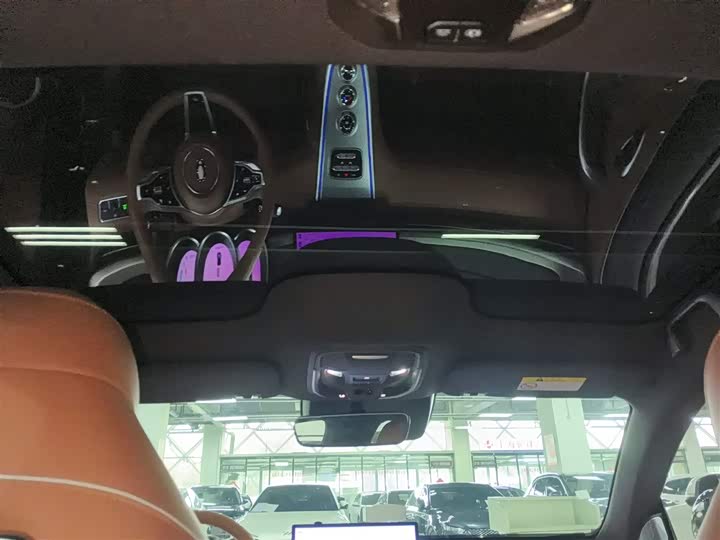 Фото 9 - Ora Lightning Cat (07)