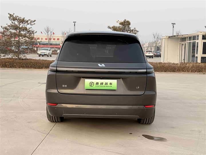 Фото 6 - LiXiang L9