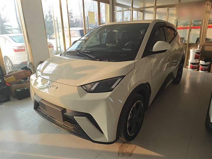 Фото 2 - BYD Seagull