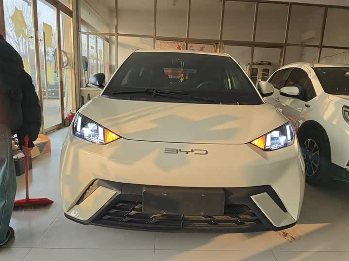 Фото 3 - BYD Seagull