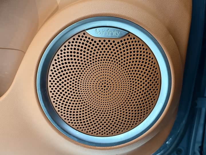 Фото 8 - Ora Lightning Cat (07)