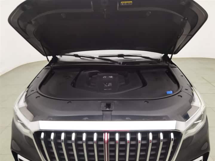 Фото 6 - Hongqi HS7