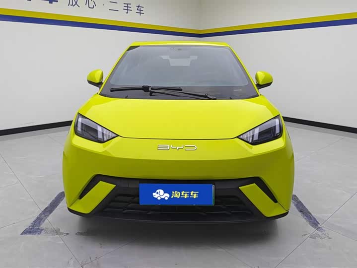 Фото 2 - BYD Seagull